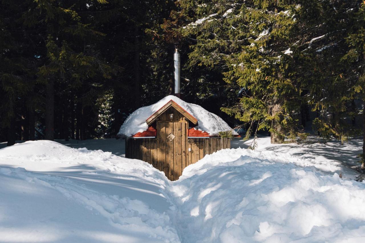 Natura Haziko Izvoare  Exteriör bild